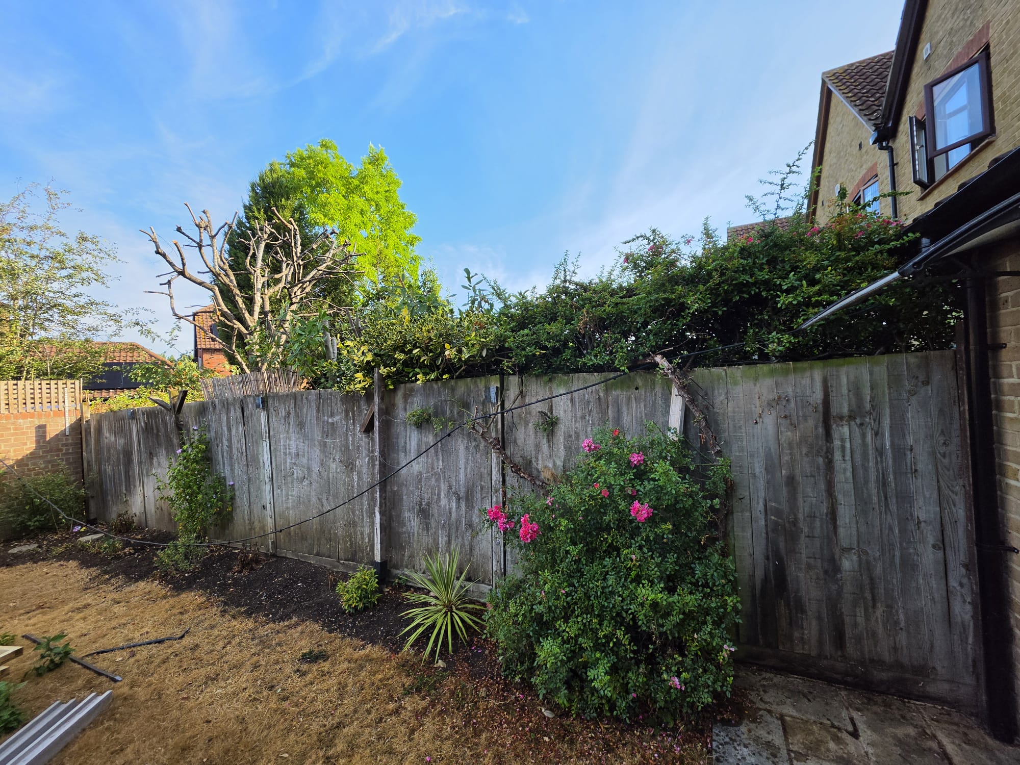 Before: old weathered leaning fence